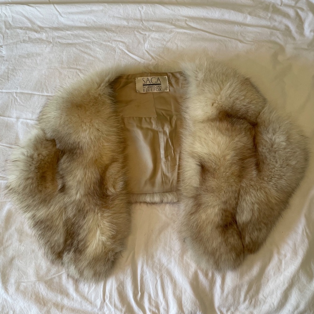 SAGA - Norwegian Blue Fox